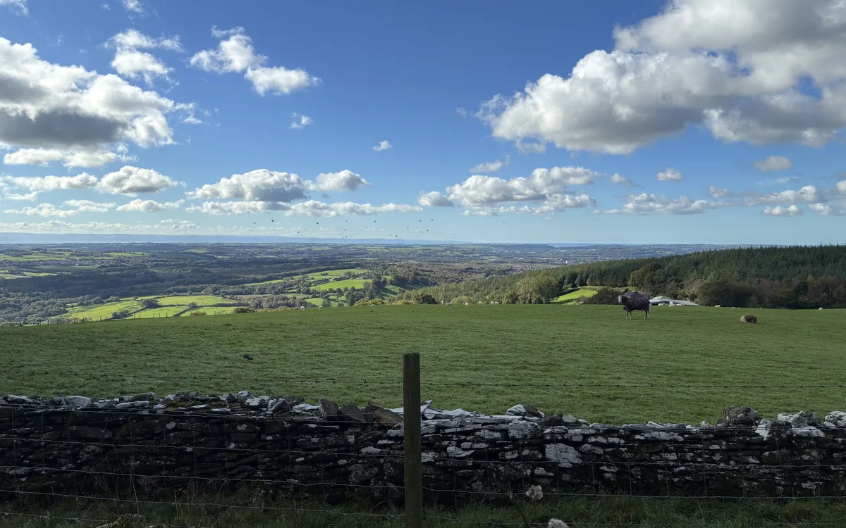 Wide green pasture and stone wall under a bright blue sky overlooking rolling Welsh hills